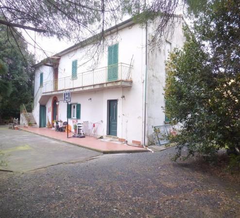 Rustico in Via Po, Cecina - Foto 1