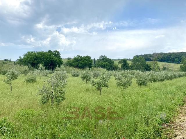 Terreno agricolo in {3}, Via San Rocco - Foto 1