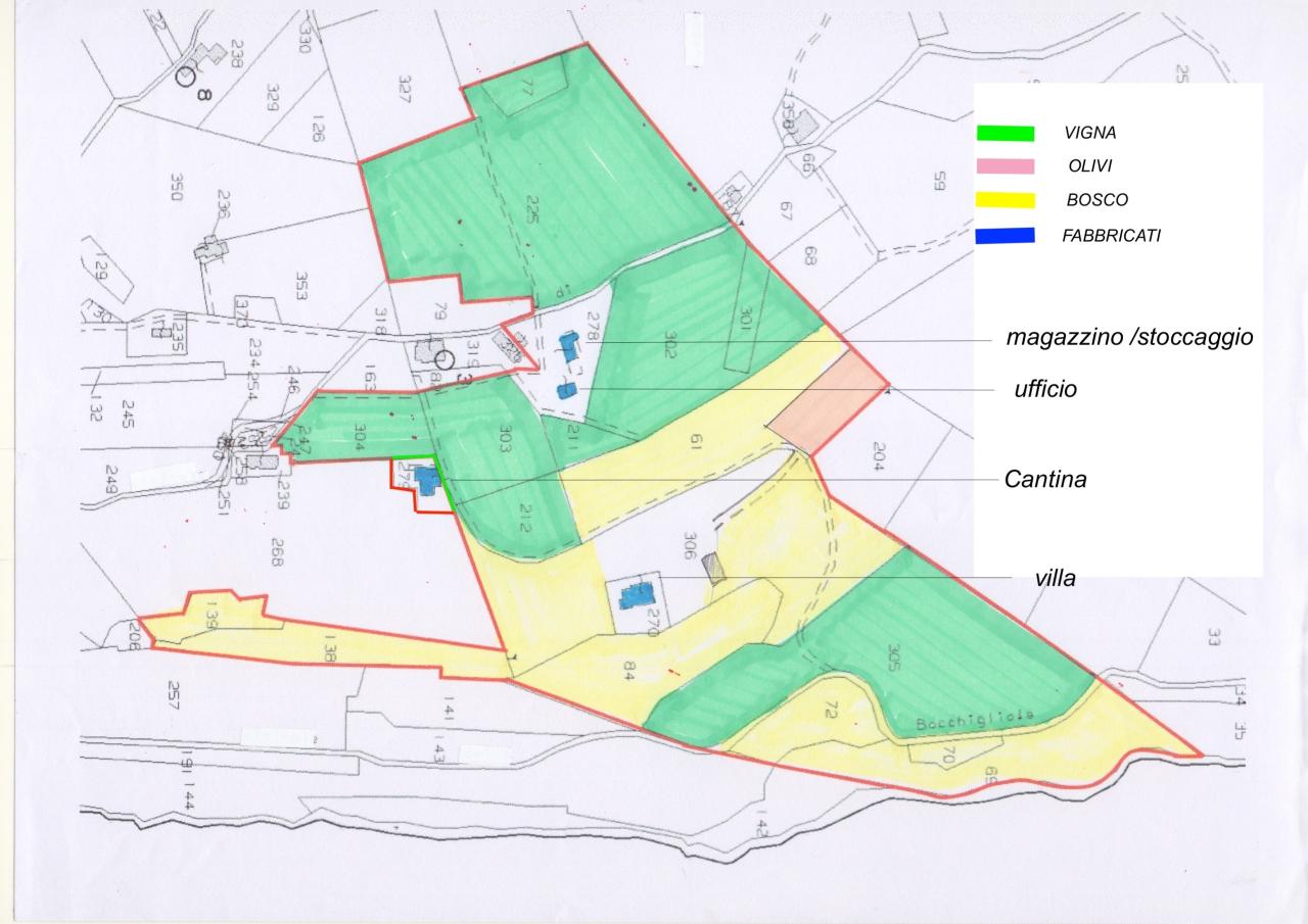Azienda agricola in Strada Provinciale dei Tre Comuni, Montescudaio, {3} - Planimetria 1