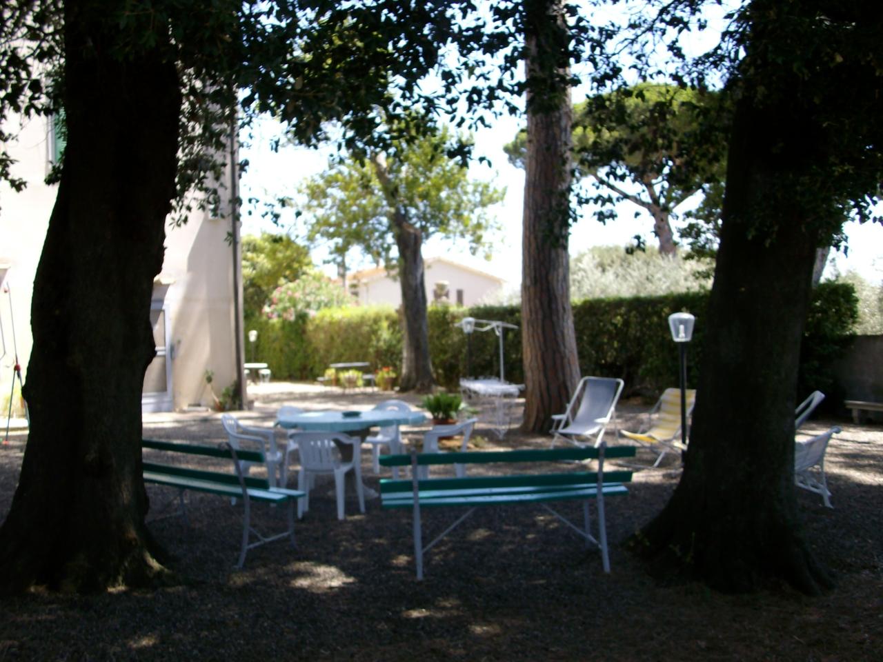 immagine annuncio 3 di 14