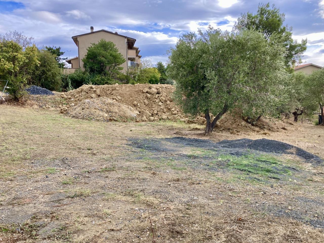 immagine annuncio 6 di 7