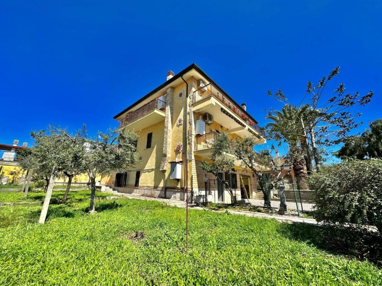 immagine annuncio 11 di 15