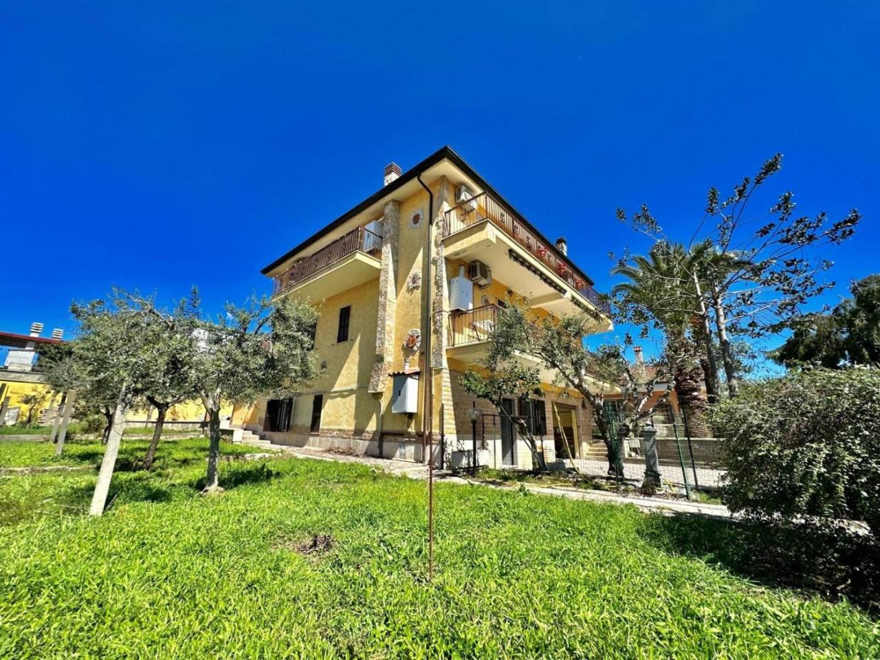 immagine annuncio 1 di 10