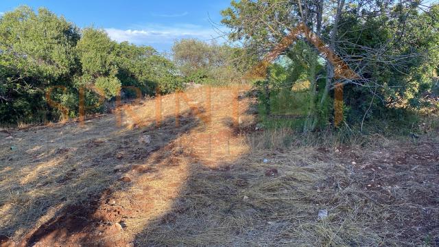 Terreno agricolo, Monopoli - Foto 1