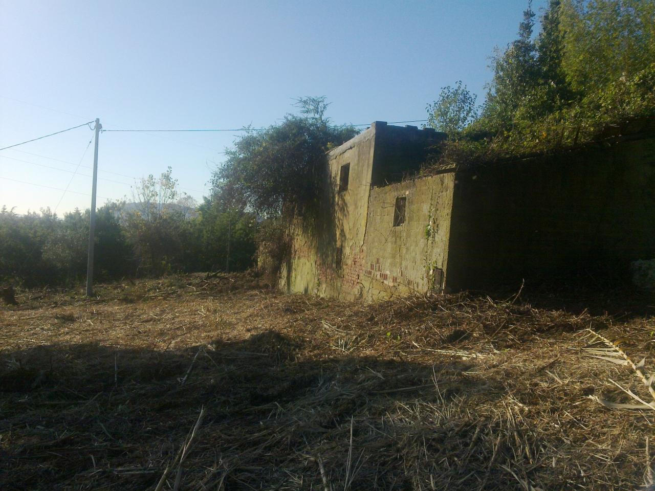 immagine annuncio 2 di 6