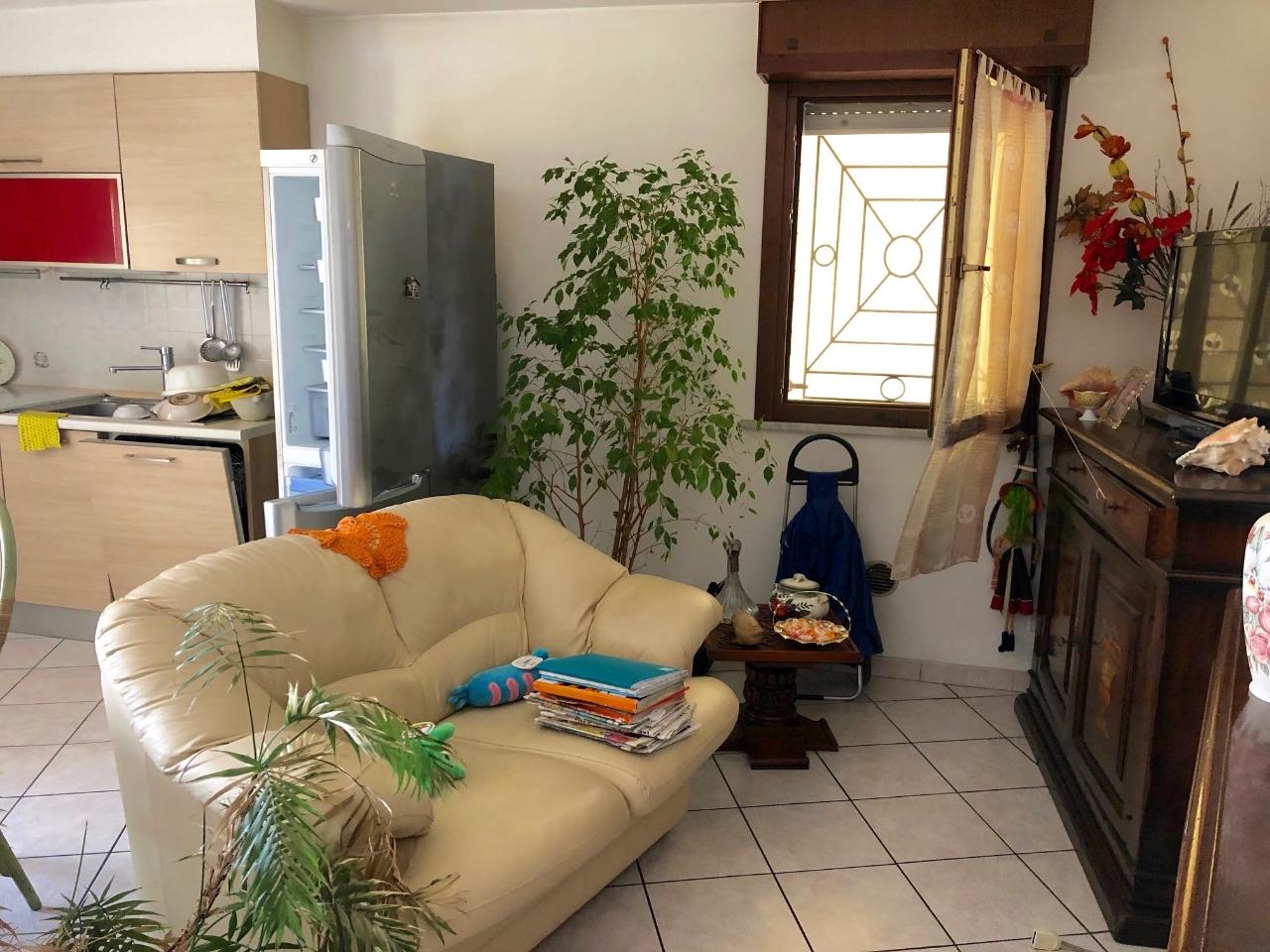 immagine annuncio 4 di 7