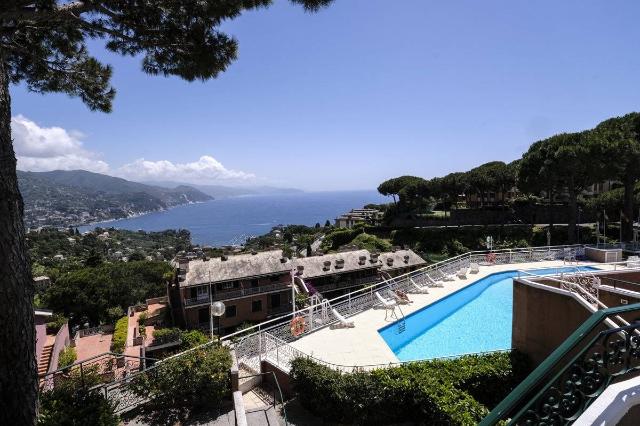 2-room flat in Via Pietrafredda 65, Rapallo - Photo 1