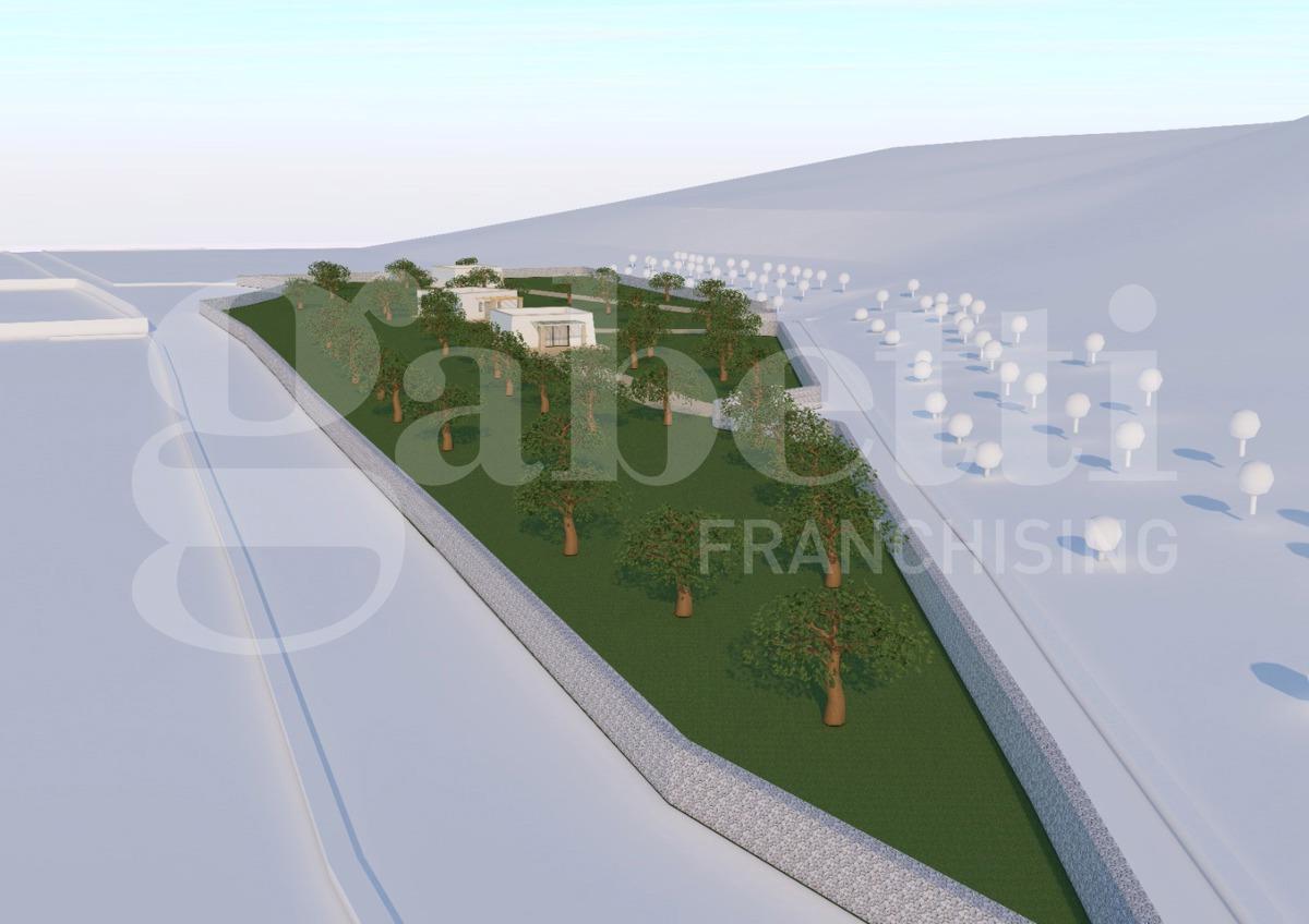 immagine annuncio 1 di 6