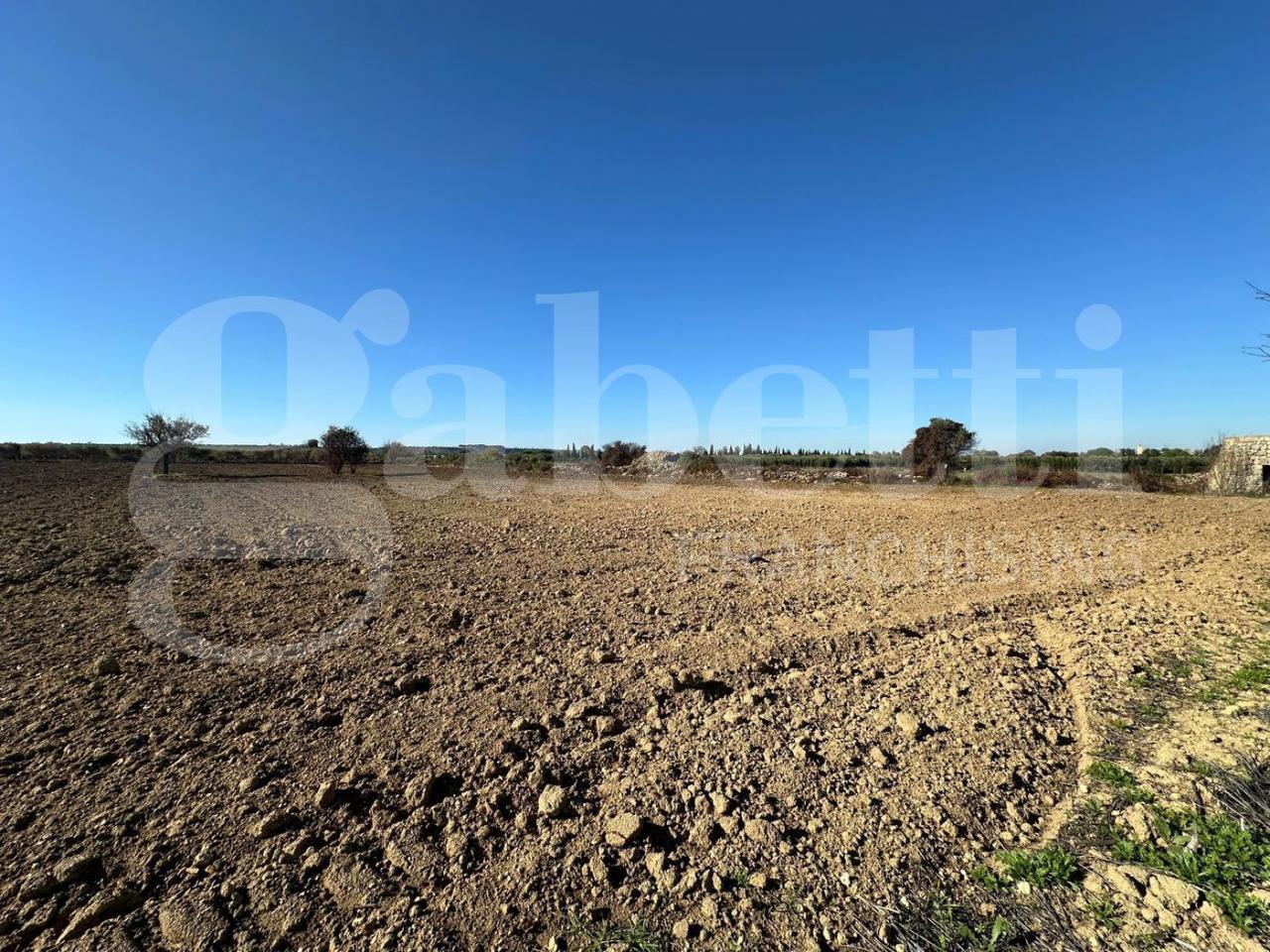 immagine annuncio 8 di 14