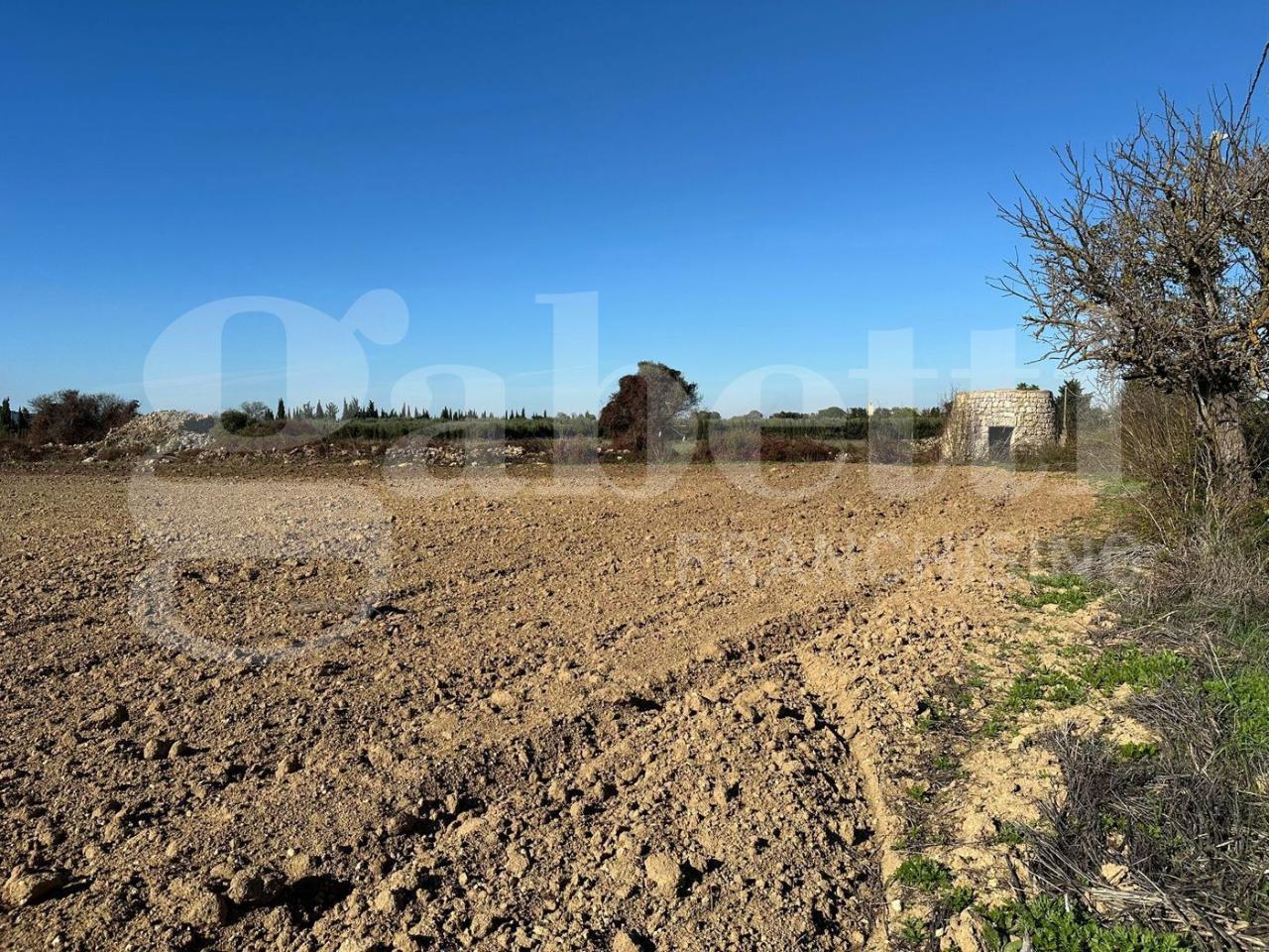 immagine annuncio 6 di 14