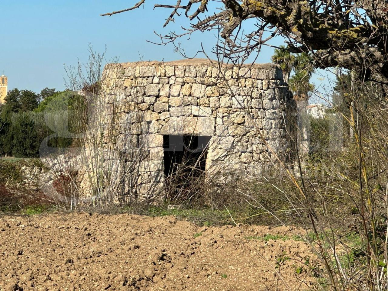 immagine annuncio 7 di 14