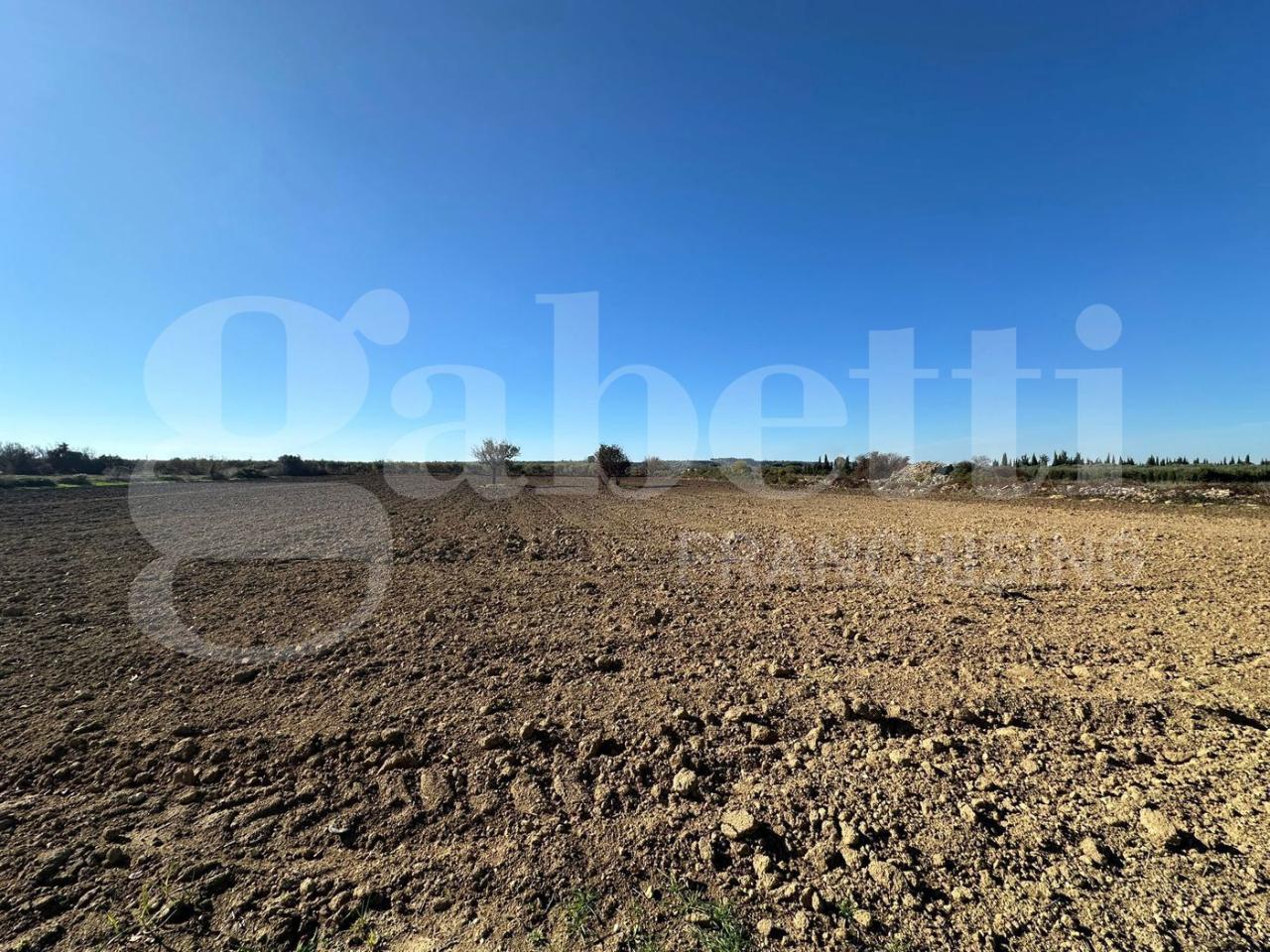 immagine annuncio 10 di 14