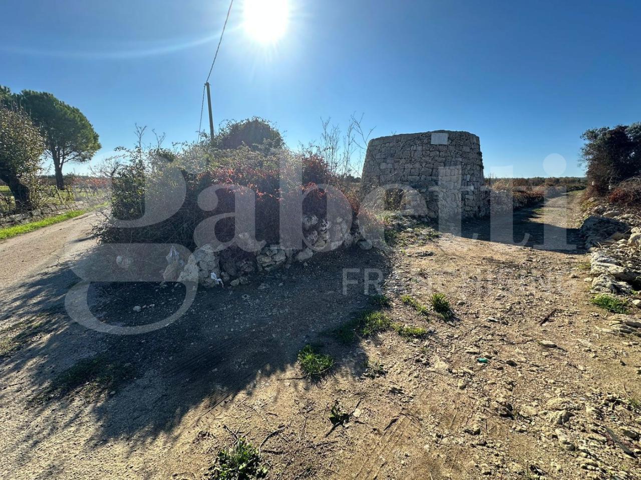 immagine annuncio 12 di 14