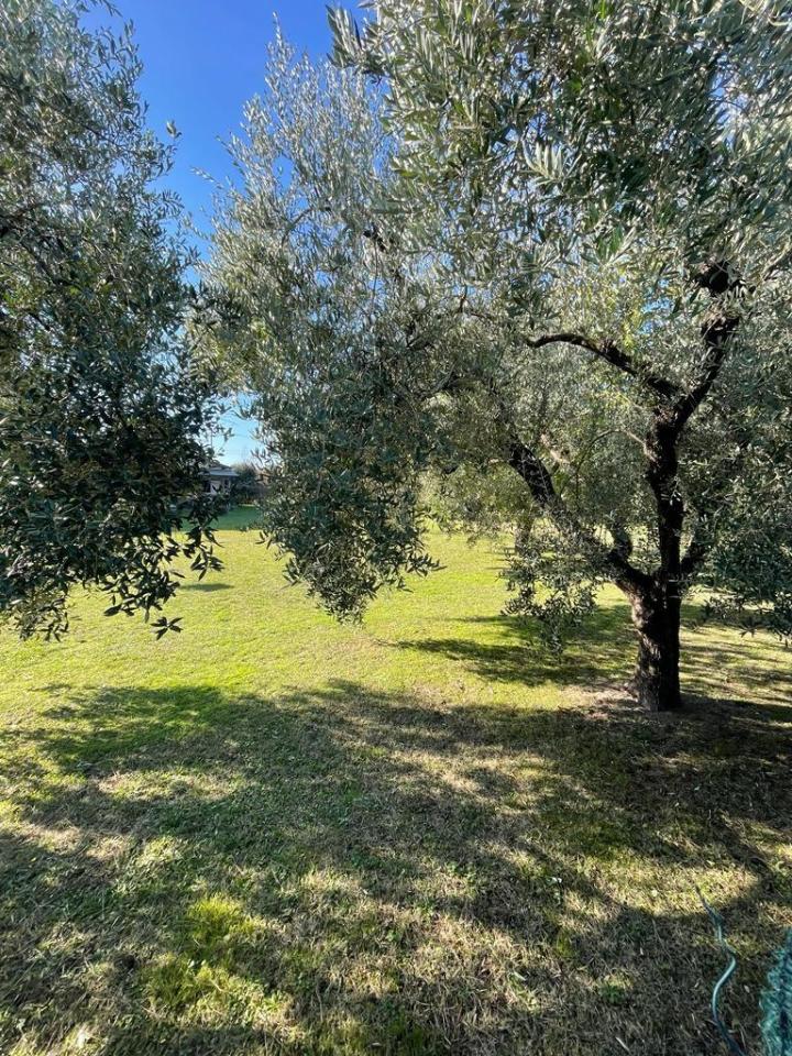 immagine annuncio 6 di 7
