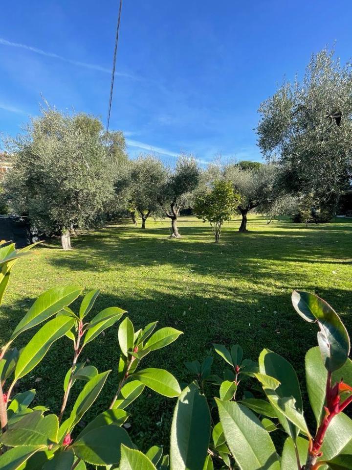 immagine annuncio 5 di 7