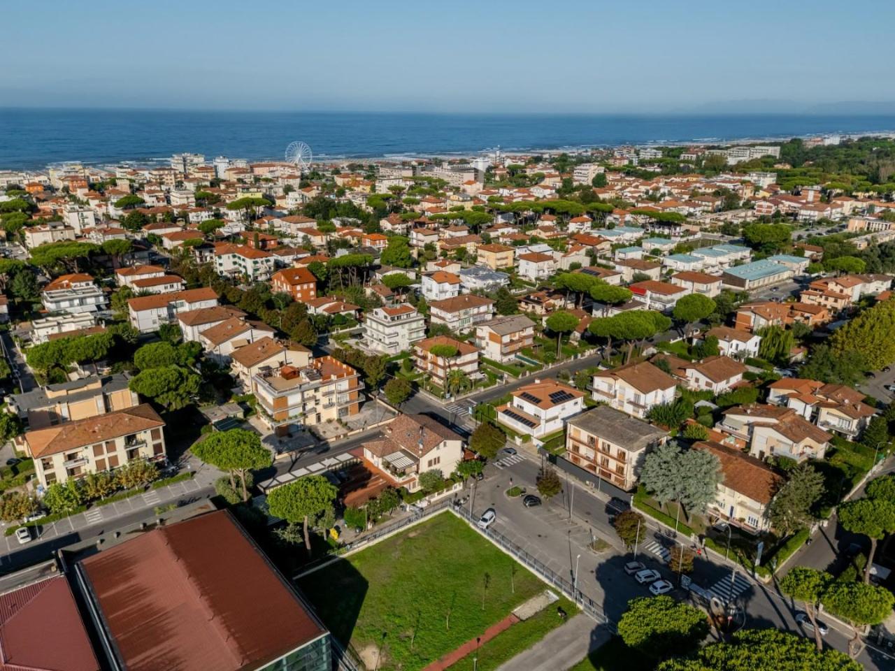 immagine annuncio 3 di 6