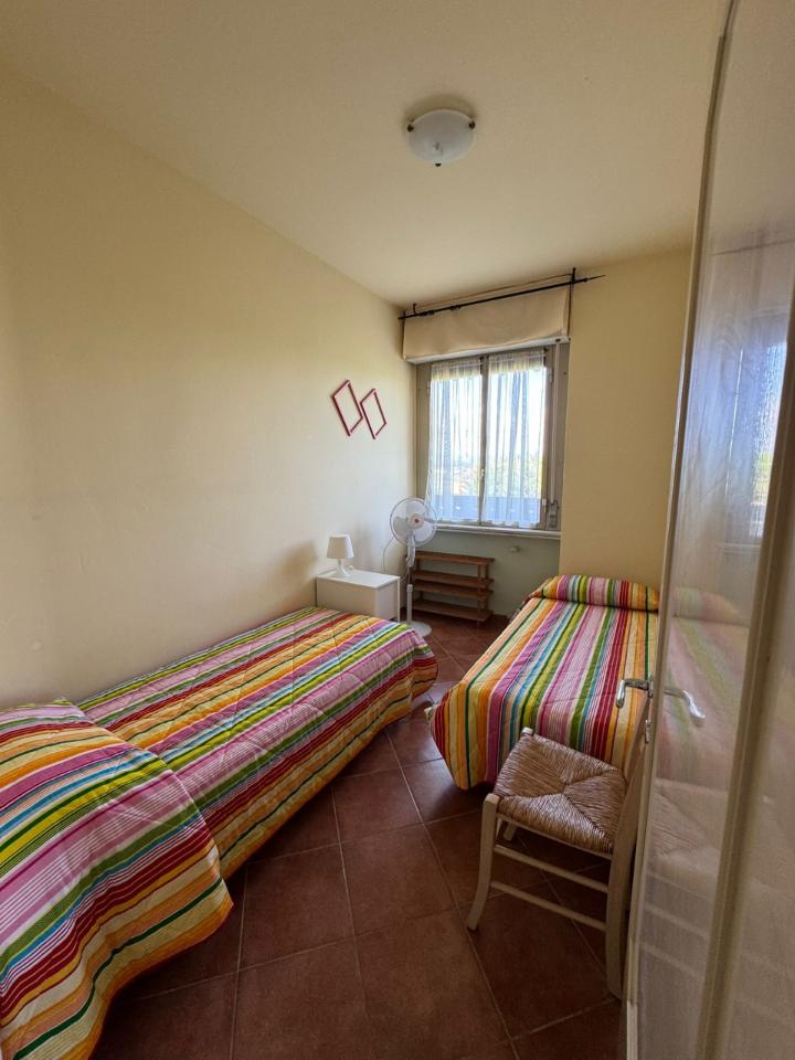 immagine annuncio 9 di 14