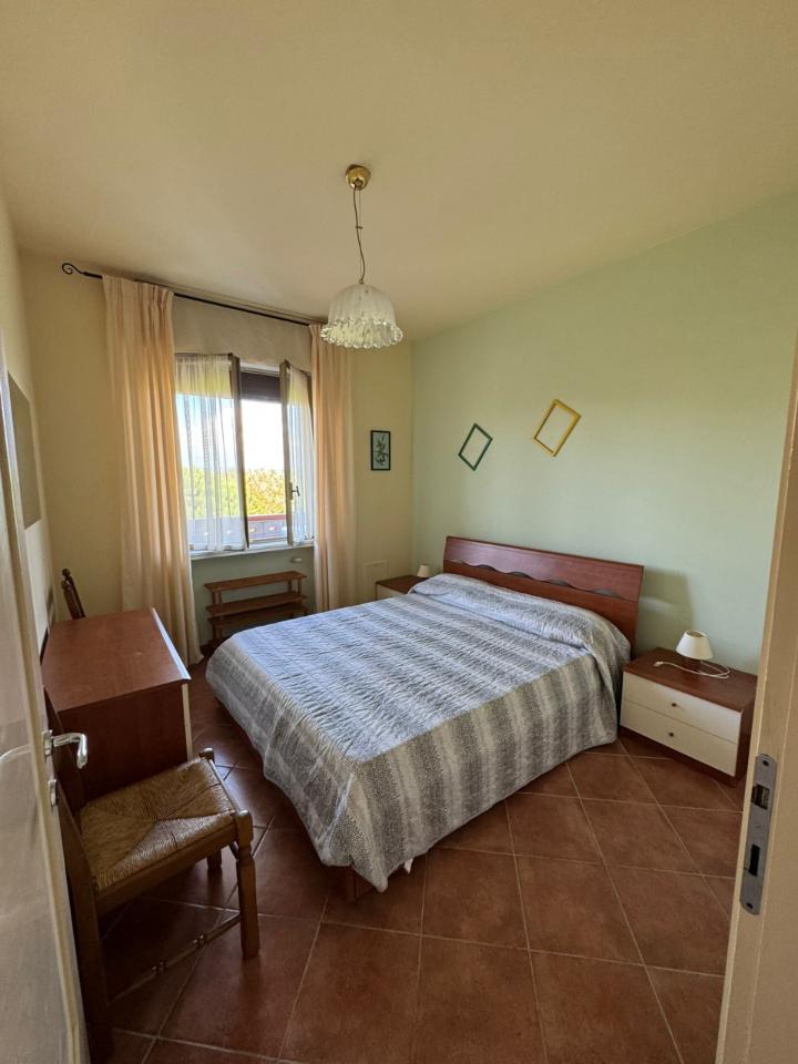 immagine annuncio 8 di 14