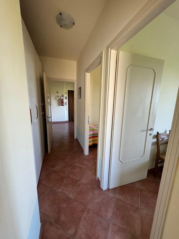 immagine annuncio 7 di 14
