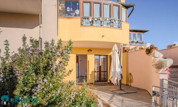 insertion image