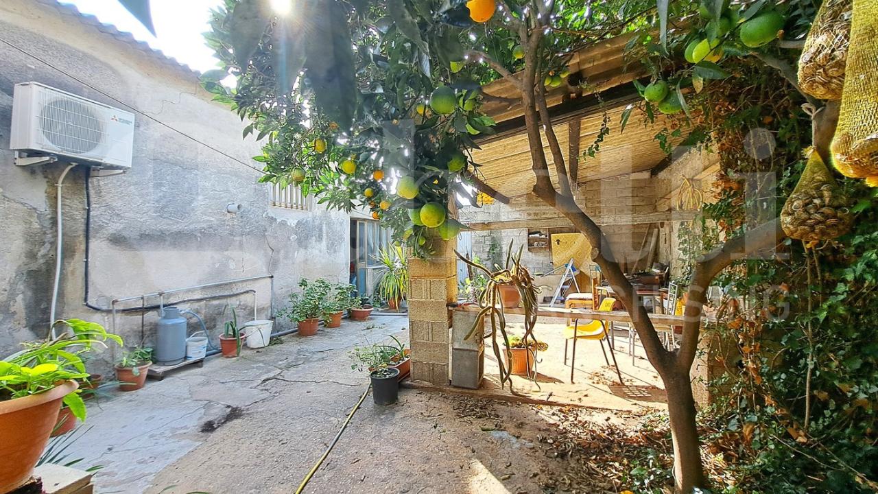 immagine annuncio 12 di 14