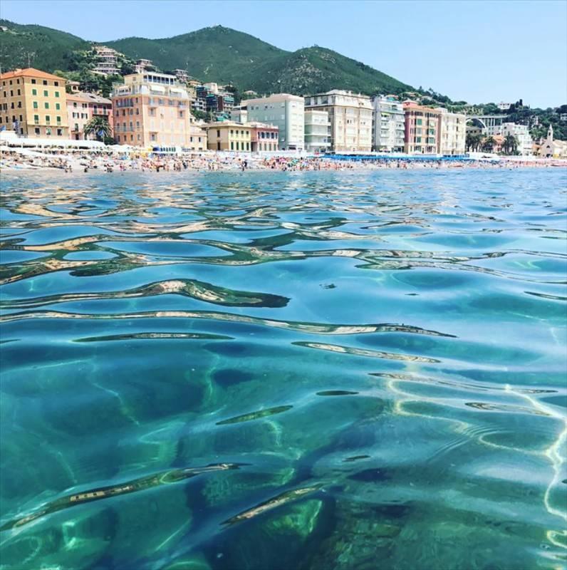 immagine annuncio 1 di 3
