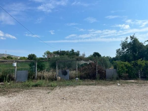 Capannone in Strada Provinciale per Villa Ranalli, Corropoli, {3} - Foto 1