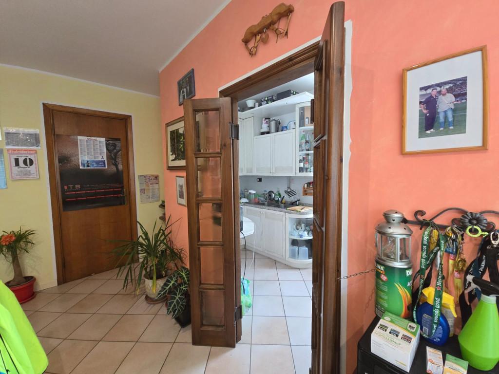 immagine annuncio 11 di 14