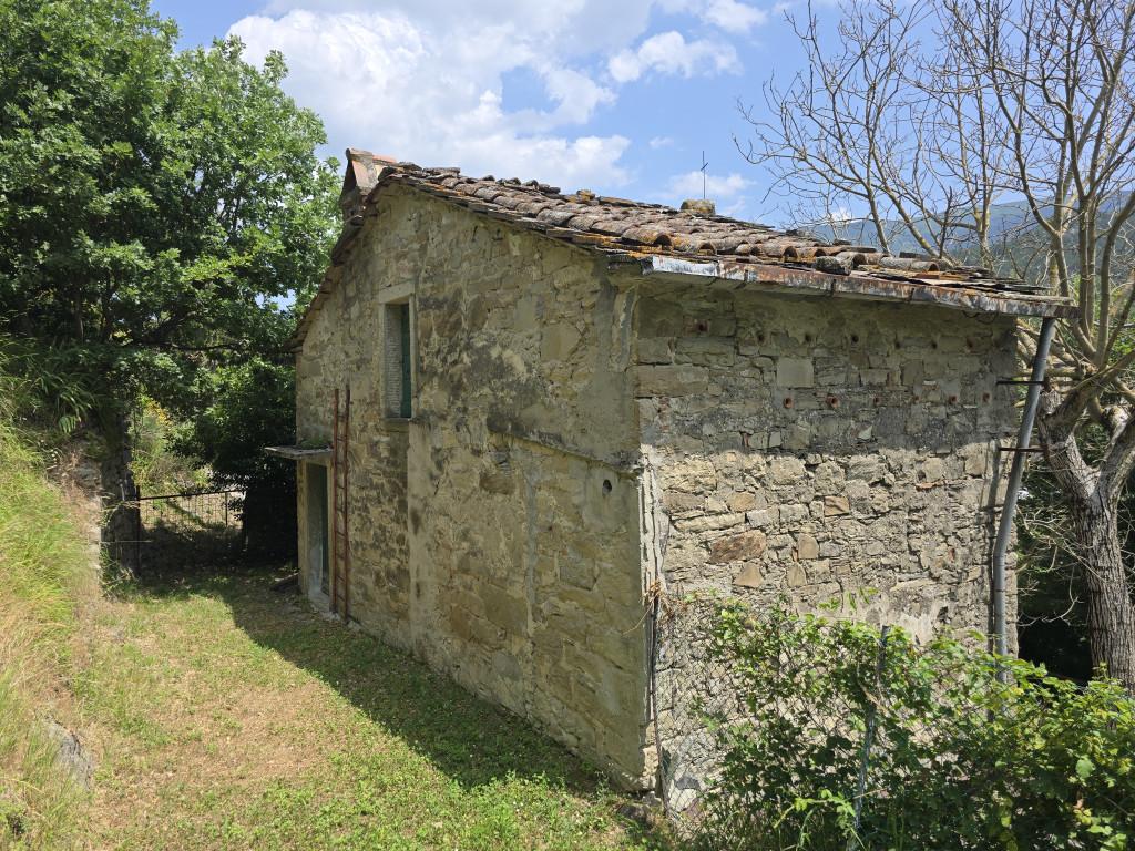 immagine annuncio 2 di 9