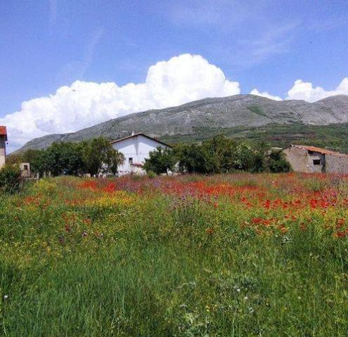 Terreno edificabile in Via Verrazzano, Avezzano - Foto 1