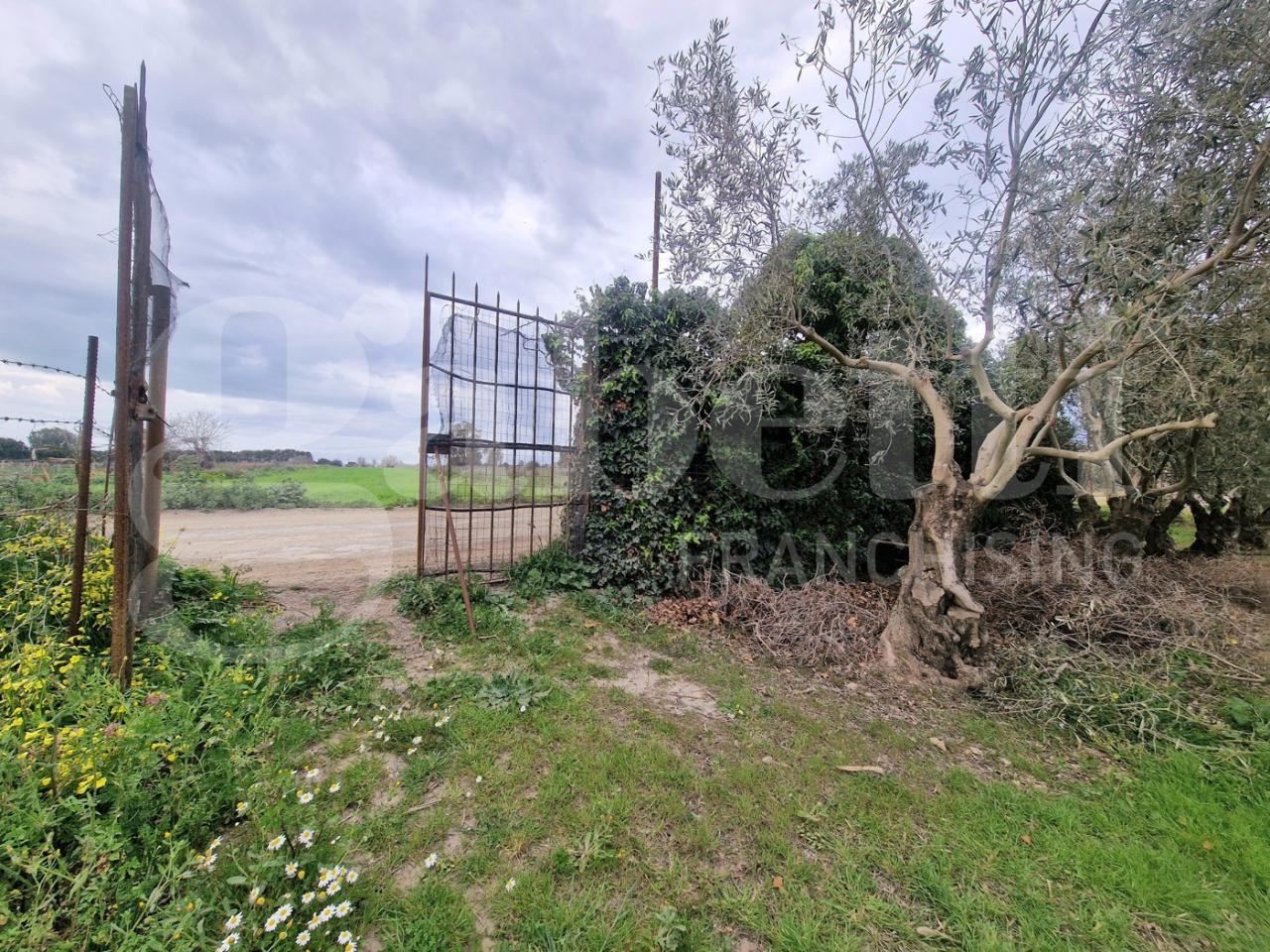 immagine annuncio 3 di 6