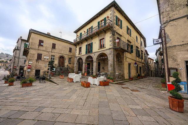 Appartamento in Piazza Giuseppe Garibaldi, Santa Fiora - Foto 1