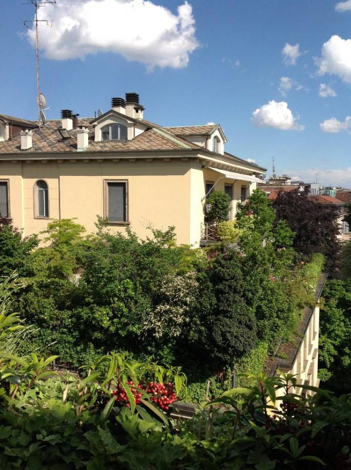 immagine annuncio 1 di 7