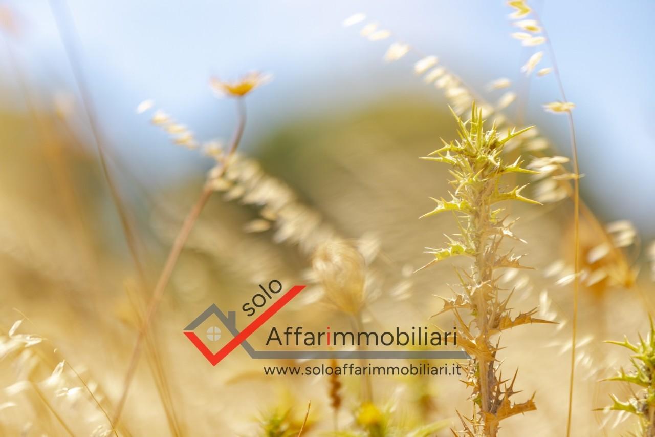 immagine annuncio 10 di 13