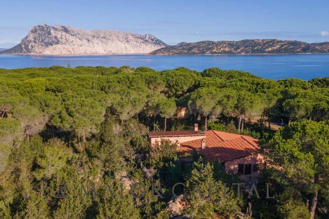 Mansion in Capo Coda Cavallo, Le Farfalle, San Teodoro - Photo 1