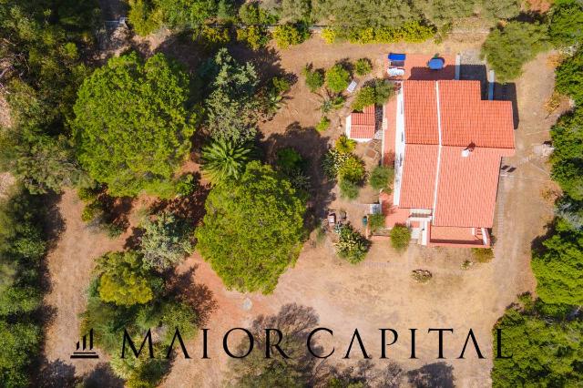 Villa in Loc. LI Scopi, San Teodoro - Foto 1