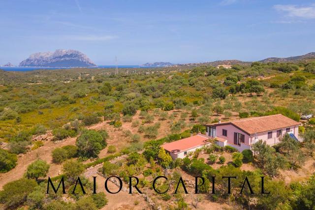 Mansion in Via Malesu, Olbia - Photo 1