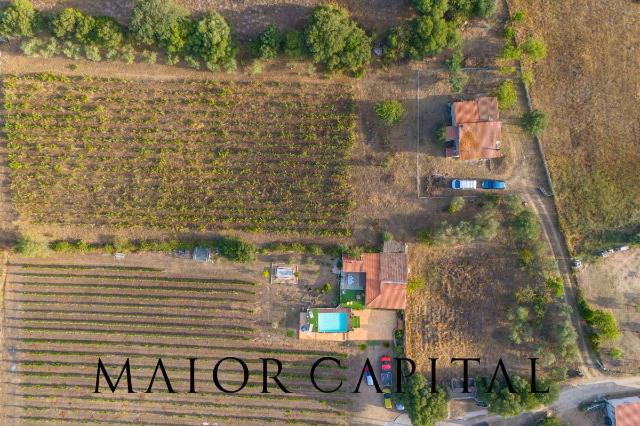 Casa indipendente in Strada del Vermentino, Berchidda - Foto 1