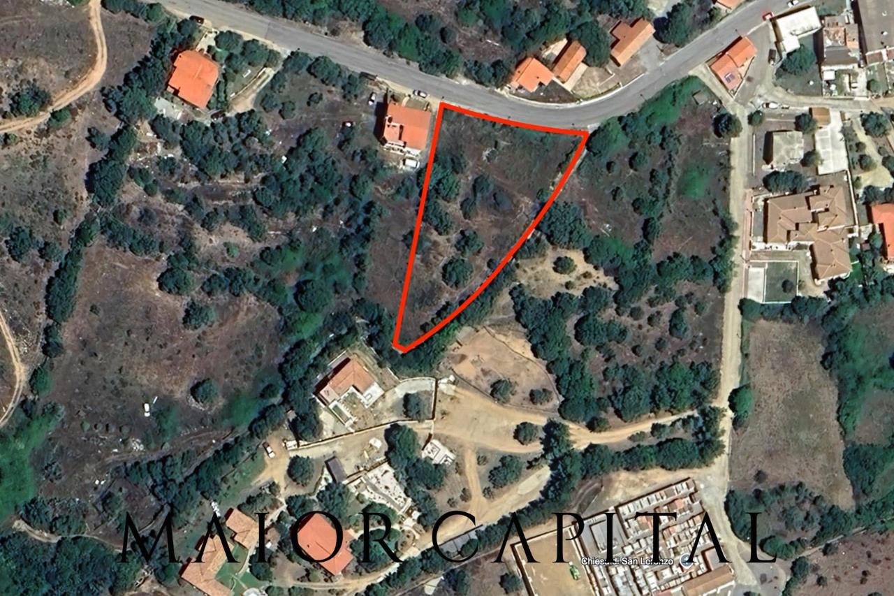 immagine annuncio 5 di 7