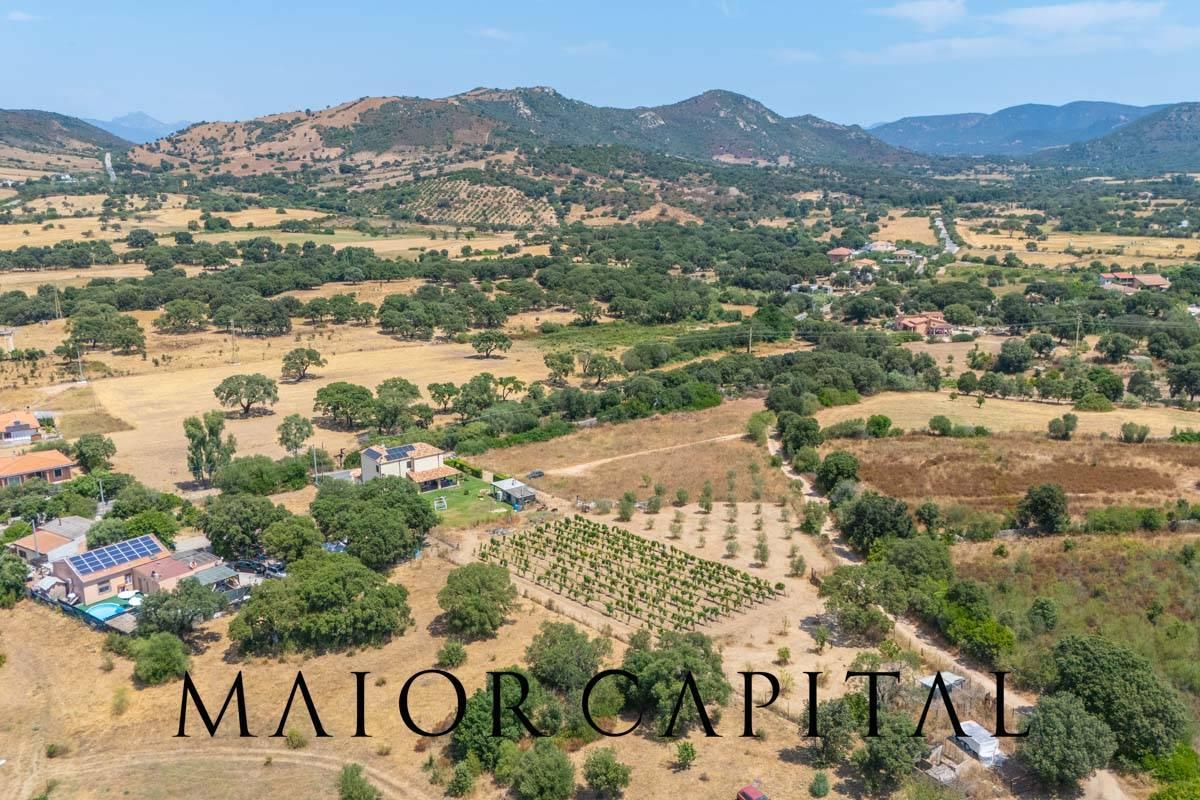 immagine annuncio 0 di 15