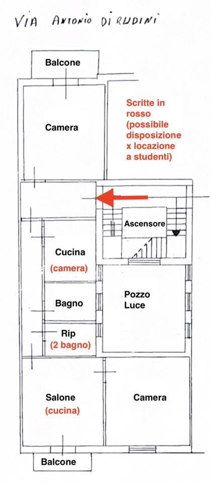 immagine annuncio 1 di 13