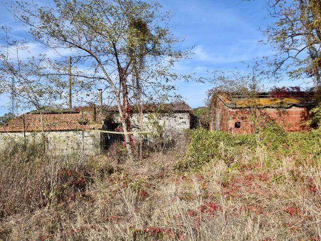 Country house or cottage, Campiglia Marittima - Photo 1