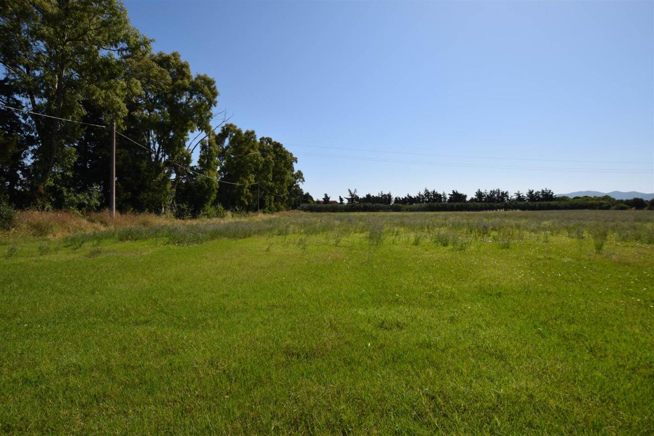 immagine annuncio 1 di 7