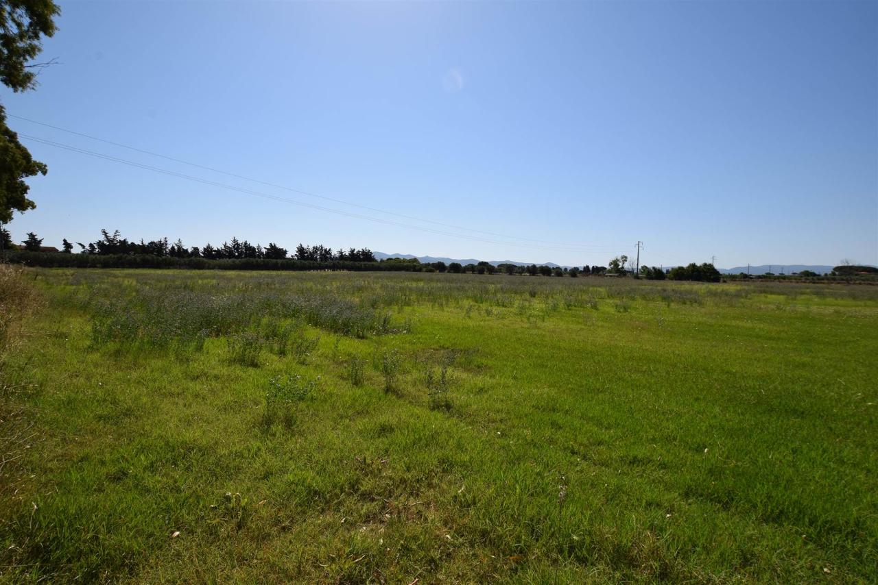 immagine annuncio 2 di 7