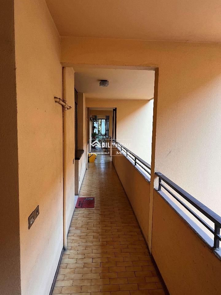 immagine annuncio 5 di 7