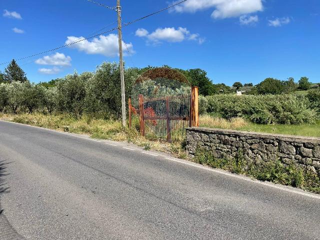 Terreno agricolo in Via Tenutella 11, Albano Laziale - Foto 1