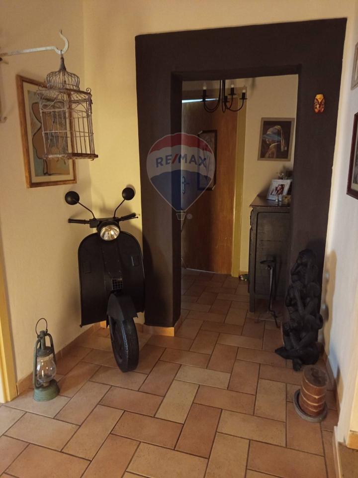 immagine annuncio 9 di 14