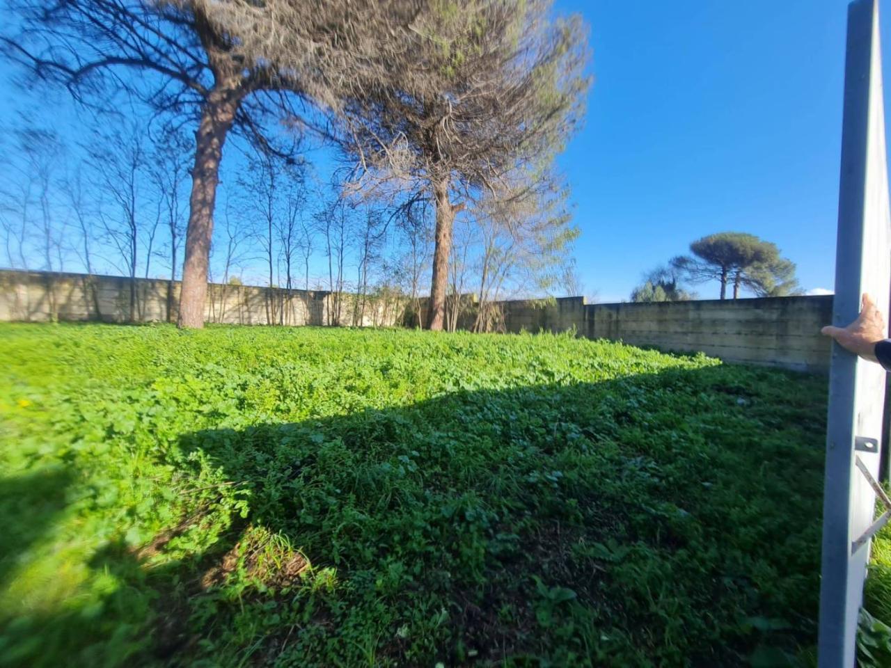 immagine annuncio 6 di 13