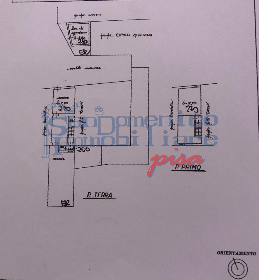 immagine annuncio 4 di 7