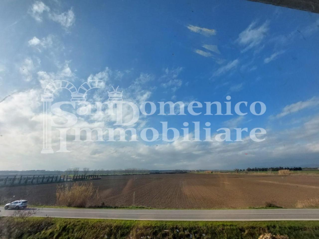 Capannone in , Vecchiano, {3} - Foto 2